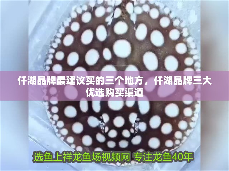 仟湖品牌最建議買的三個地方，仟湖品牌三大優選購買渠道 仟湖品牌最建議買的三個地方，仟湖品牌三大優選購買渠道 龍魚論壇