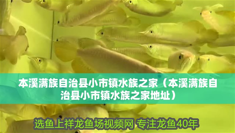 本溪滿族自治縣小市鎮水族之家（本溪滿族自治縣小市鎮水族之家地址）