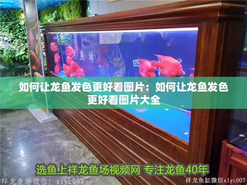 如何讓龍魚發色更好看圖片：如何讓龍魚發色更好看圖片大全
