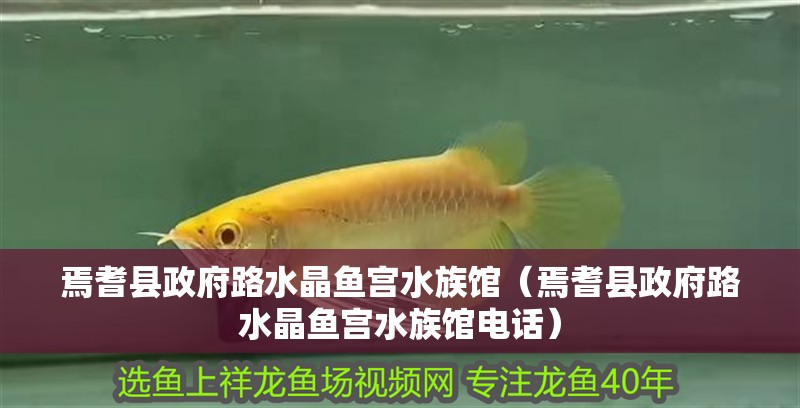 焉耆縣政府路水晶魚宮水族館（焉耆縣政府路水晶魚宮水族館電話）