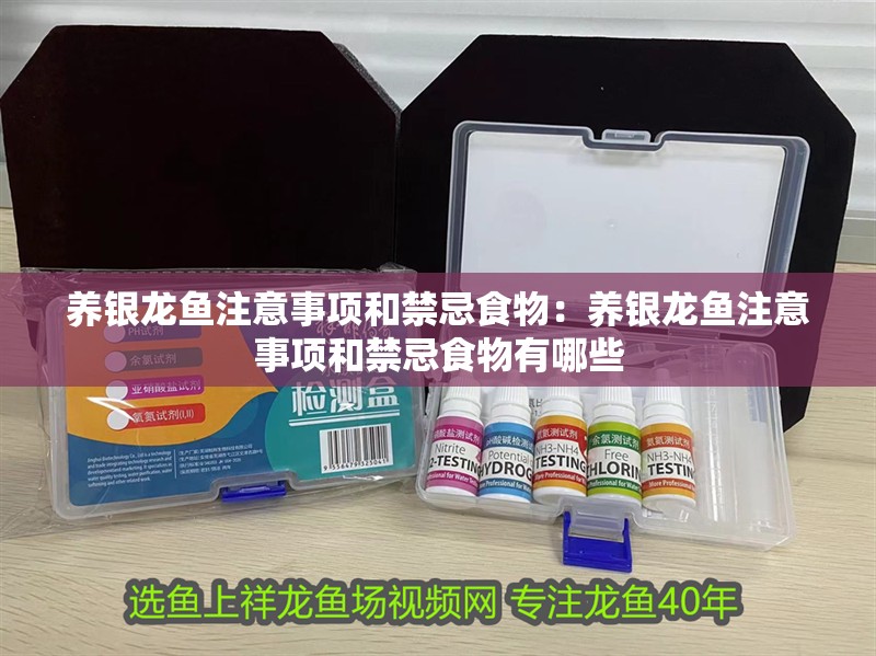 養銀龍魚注意事項和禁忌食物：養銀龍魚注意事項和禁忌食物有哪些