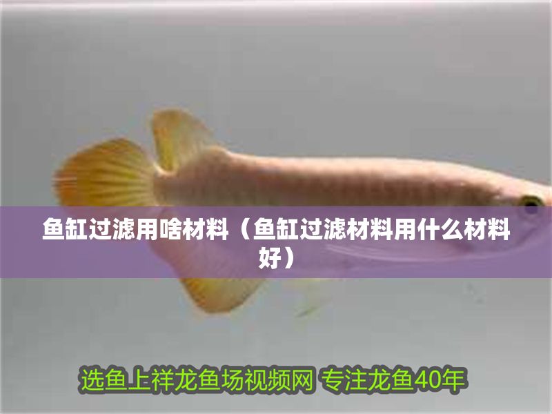 魚(yú)缸過(guò)濾用啥材料（魚(yú)缸過(guò)濾材料用什么材料好）