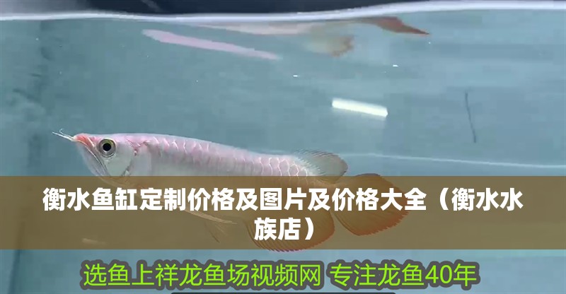 衡水魚缸定制價(jià)格及圖片及價(jià)格大全（衡水水族店） 衡水魚缸定制價(jià)格及圖片及價(jià)格大全（衡水水族店） 全國(guó)水族館企業(yè)名錄 第1張