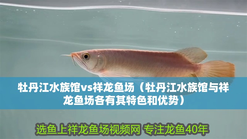 牡丹江水族館vs祥龍魚場（牡丹江水族館與祥龍魚場各有其特色和優(yōu)勢）
