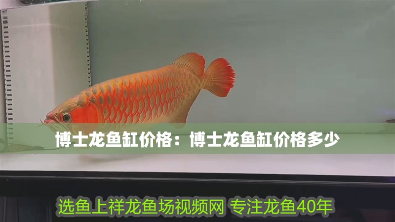 博士龍魚缸價格：博士龍魚缸價格多少