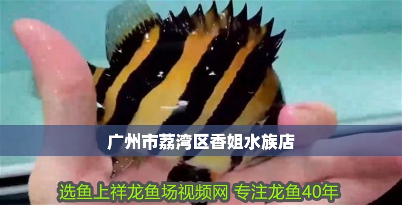 廣州市荔灣區(qū)香姐水族店