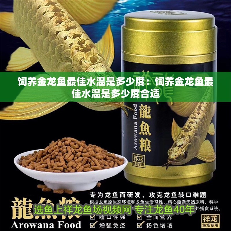 飼養(yǎng)金龍魚最佳水溫是多少度：飼養(yǎng)金龍魚最佳水溫是多少度合適 飼養(yǎng)金龍魚最佳水溫是多少度：飼養(yǎng)金龍魚最佳水溫是多少度合適 水族問答