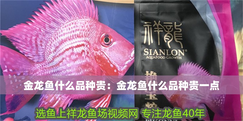 金龍魚什么品種貴:金龍魚什么品種貴一點 水族問答 金龍魚什么品種貴:金龍魚什么品種貴一點 金龍魚什么品種貴:金龍魚什么品種貴一點 水族問答