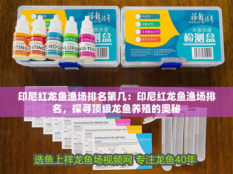 印尼紅龍魚漁場排名第幾：印尼紅龍魚漁場排名，探尋頂級龍魚養(yǎng)殖的奧秘