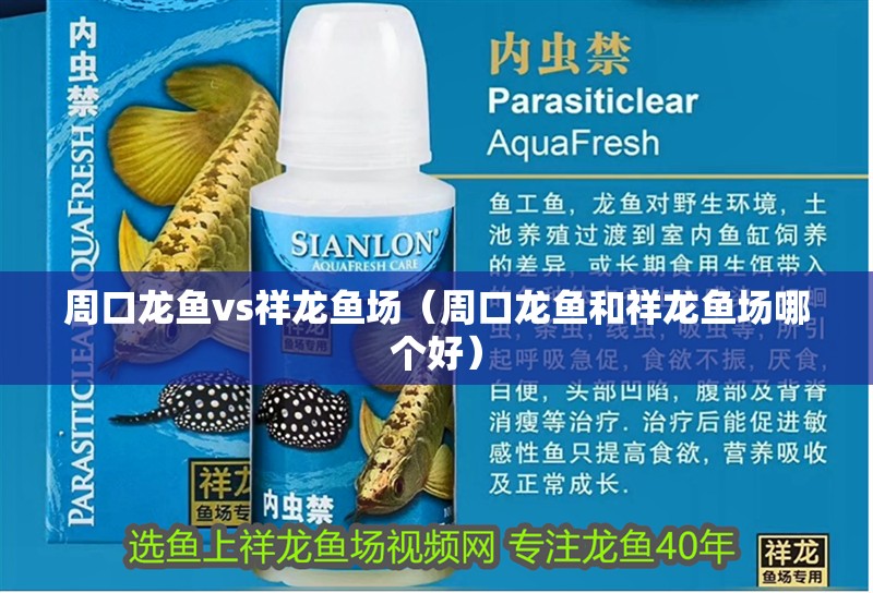 <strong><mark>周口</mark></strong>龍魚vs祥龍魚場（<strong><mark>周口</mark></strong>龍魚和祥龍魚場哪個好）