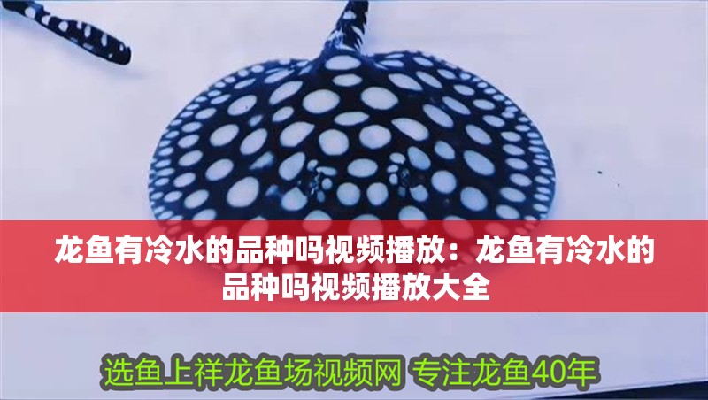 龍魚(yú)有冷水的品種嗎視頻播放：龍魚(yú)有冷水的品種嗎視頻播放大全 龍魚(yú)有冷水的品種嗎視頻播放：龍魚(yú)有冷水的品種嗎視頻播放大全 水族問(wèn)答