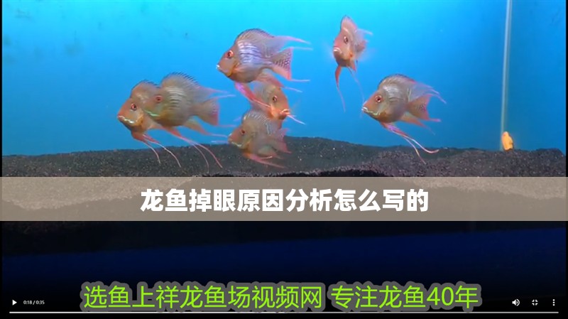 龍魚掉眼原因分析怎么寫的