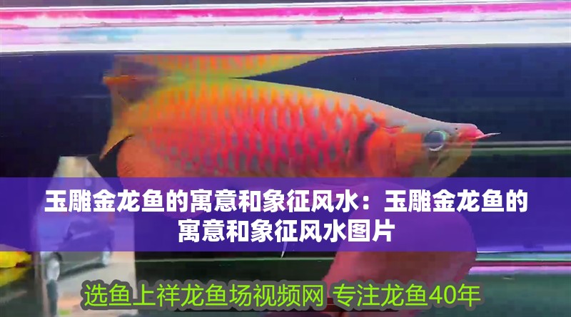 玉雕金龍魚的寓意和象征風水：玉雕金龍魚的寓意和象征風水圖片