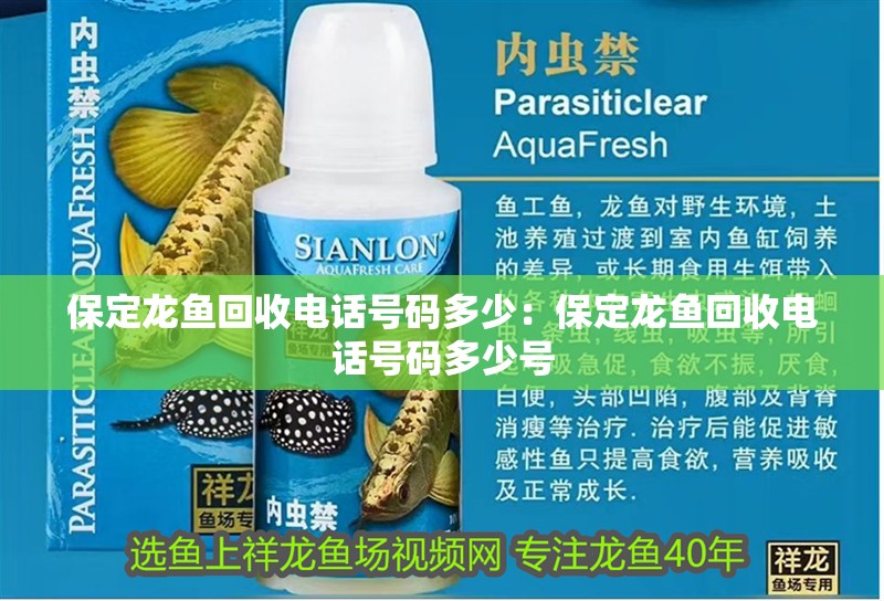 保定龍魚回收電話號碼多少：保定龍魚回收電話號碼多少號 保定龍魚回收電話號碼多少：保定龍魚回收電話號碼多少號 水族問答
