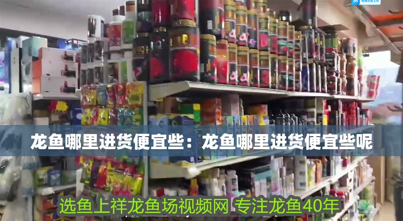 龍魚哪里進(jìn)貨便宜些：龍魚哪里進(jìn)貨便宜些呢