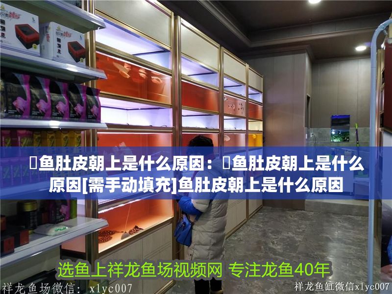 魟魚肚皮朝上是什么原因：魟魚肚皮朝上是什么原因[需手動填充]魚肚皮朝上是什么原因