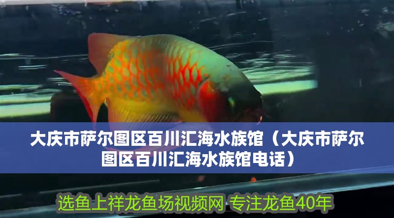 大慶市薩爾圖區百川匯海水族館（大慶市薩爾圖區百川匯海水族館電話）