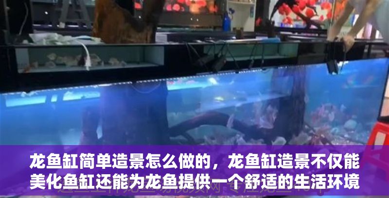 龍魚缸簡(jiǎn)單造景怎么做的，龍魚缸造景不僅能美化魚缸還能為龍魚提供一個(gè)舒適的生活環(huán)境