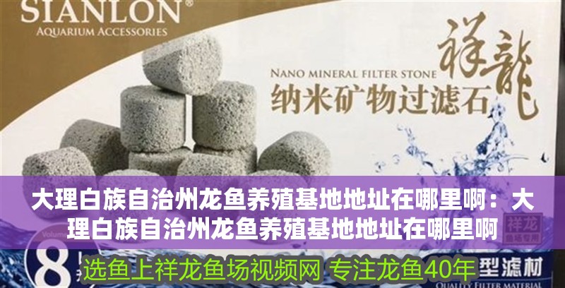 大理白族自治州龍魚養(yǎng)殖基地地址在哪里啊：大理白族自治州龍魚養(yǎng)殖基地地址在哪里啊