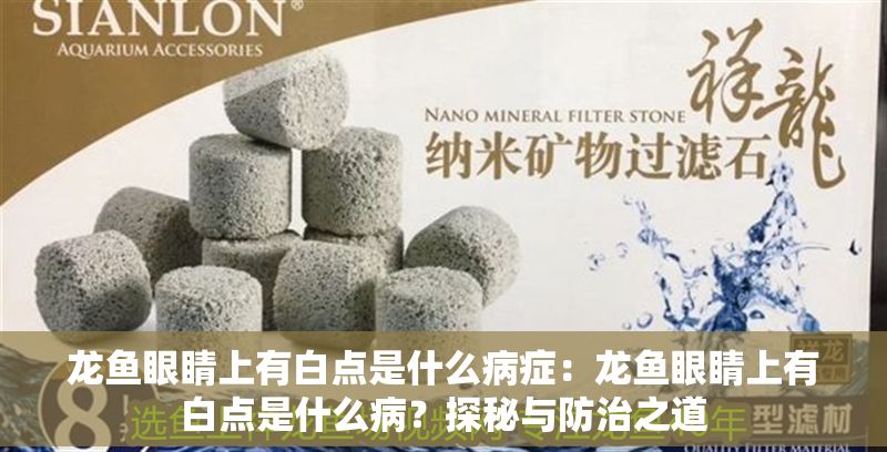 龍魚眼睛上有白點是什么病癥：龍魚眼睛上有白點是什么病？探秘與防治之道