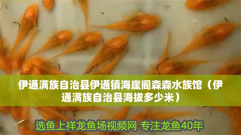 伊通滿族自治縣伊通鎮(zhèn)海崖閣森森水族館（伊通滿族自治縣海拔多少米）
