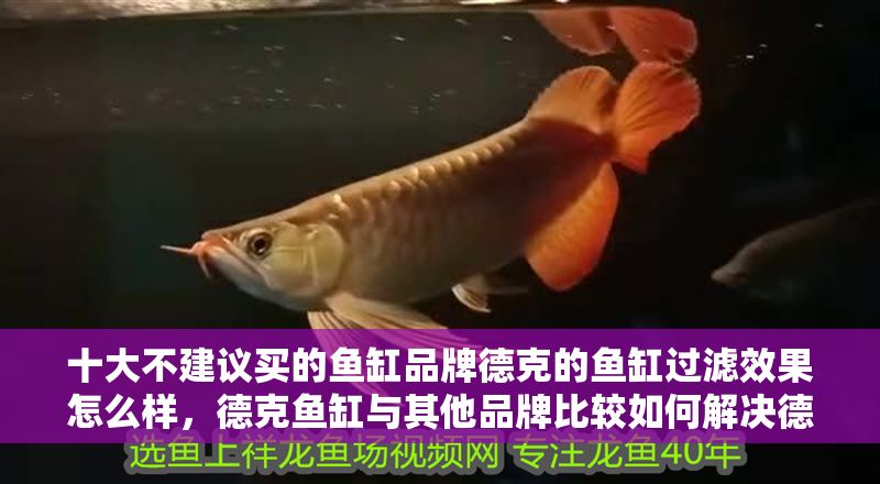 十大不建議買的魚缸品牌德克的魚缸過濾效果怎么樣，德克魚缸與其他品牌比較如何解決德克魚缸搖晃問題