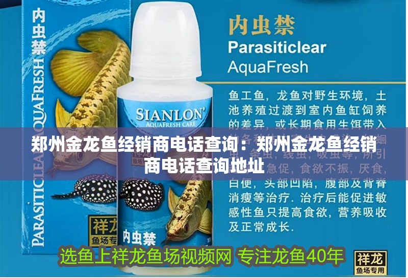 鄭州金龍魚經銷商電話查詢：鄭州金龍魚經銷商電話查詢地址 鄭州金龍魚經銷商電話查詢：鄭州金龍魚經銷商電話查詢地址 水族問答