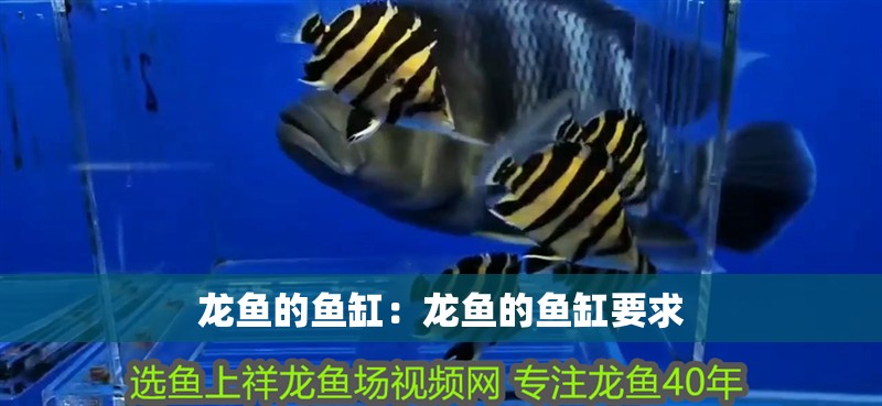 茂名二手魚缸轉讓市場電話地址