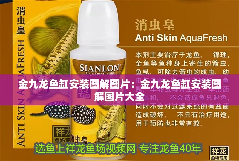 金九龍魚缸安裝圖解圖片：金九龍魚缸安裝圖解圖片大全