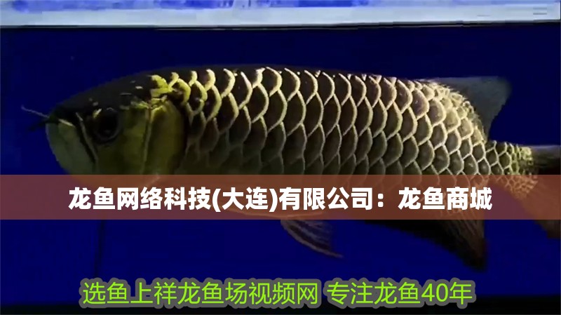 龍魚網絡科技(大連)有限公司：龍魚商城
