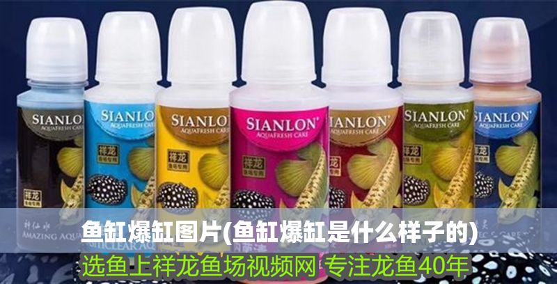 魚缸爆缸圖片(魚缸爆缸是什么樣子的)