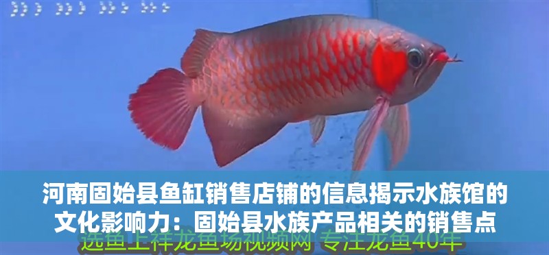 河南固始縣魚缸銷售店鋪的信息揭示水族館的文化影響力：固始縣水族產品相關的銷售點 河南固始縣魚缸銷售店鋪的信息揭示水族館的文化影響力：固始縣水族產品相關的銷售點 魚缸百科
