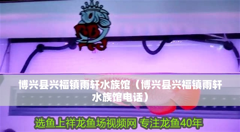 博興縣興福鎮(zhèn)雨軒水族館（博興縣興福鎮(zhèn)雨軒水族館電話） 博興縣興福鎮(zhèn)雨軒水族館（博興縣興福鎮(zhèn)雨軒水族館電話） 全國水族館企業(yè)名錄 第1張