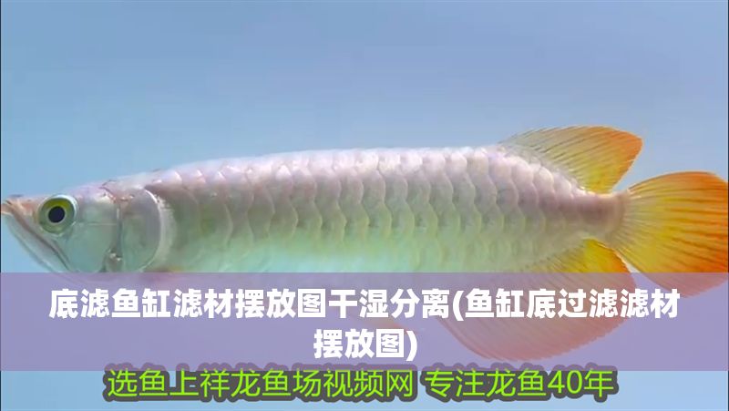 底濾魚缸濾材擺放圖干濕分離(魚缸底過濾濾材擺放圖) 底濾魚缸濾材擺放圖干濕分離(魚缸底過濾濾材擺放圖) 魟魚百科 第1張