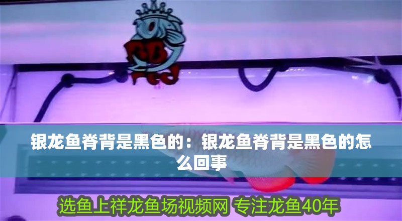 銀龍魚脊背是黑色的：銀龍魚脊背是黑色的怎么回事