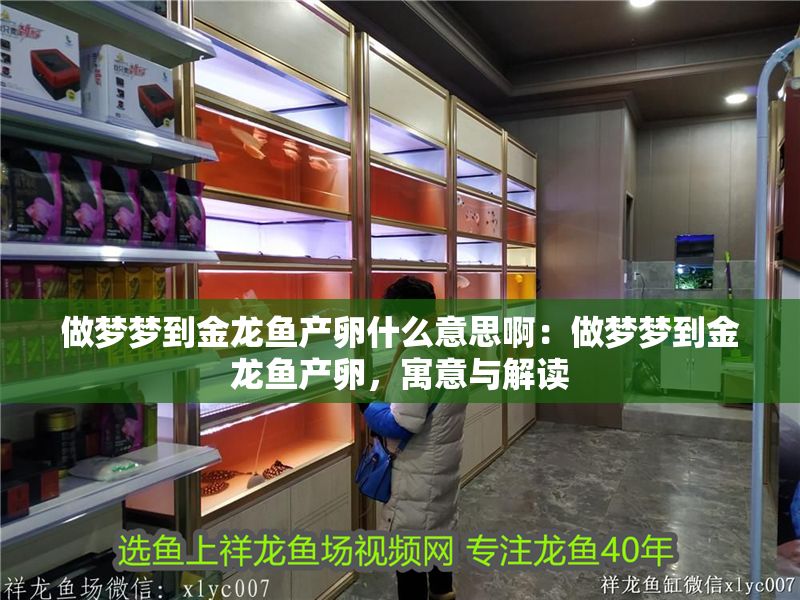 做夢夢到金龍魚產卵什么意思啊：做夢夢到金龍魚產卵，寓意與解讀