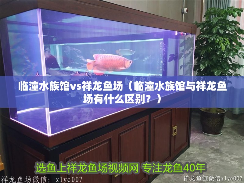 臨潼水族館vs祥龍魚場（臨潼水族館與祥龍魚場有什么區別？）