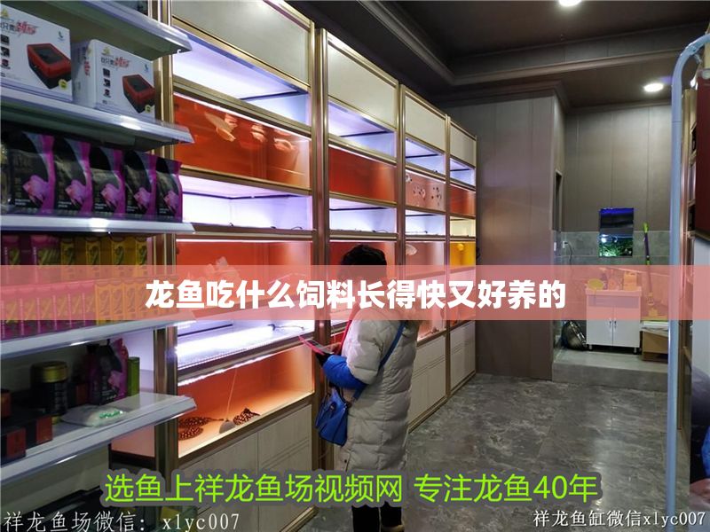 龍魚吃什么飼料長得快又好養(yǎng)的