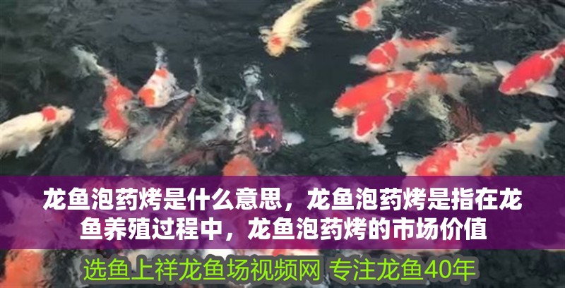 龍魚泡藥烤是什么意思，龍魚泡藥烤是指在龍魚養殖過程中，龍魚泡藥烤的市場價值