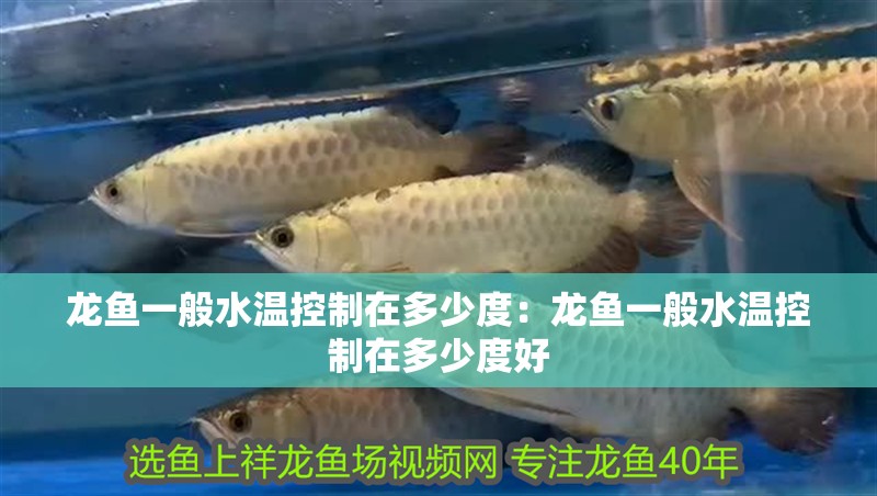 龍魚一般水溫控制在多少度：龍魚一般水溫控制在多少度好