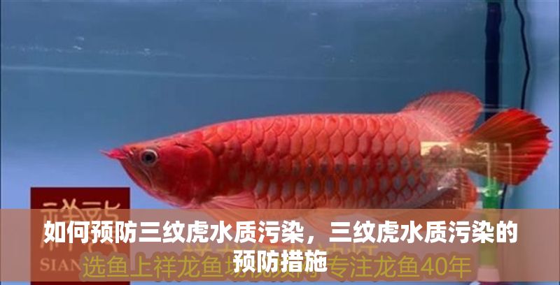 如何預防三紋虎水質污染，三紋虎水質污染的預防措施