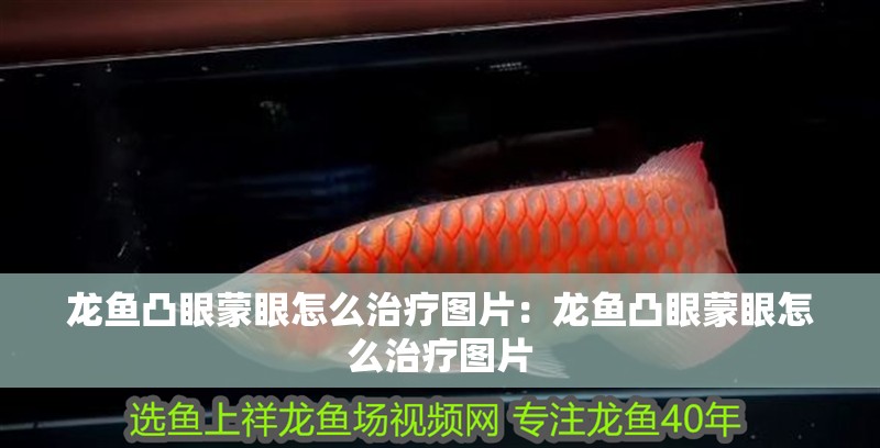 龍魚凸眼蒙眼怎么治療圖片：龍魚凸眼蒙眼怎么治療圖片 龍魚凸眼蒙眼怎么治療圖片：龍魚凸眼蒙眼怎么治療圖片 水族問答