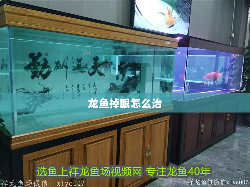 龍魚掉眼怎么治