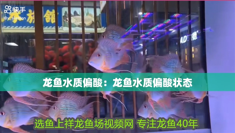 龍魚水質(zhì)偏酸：龍魚水質(zhì)偏酸狀態(tài)