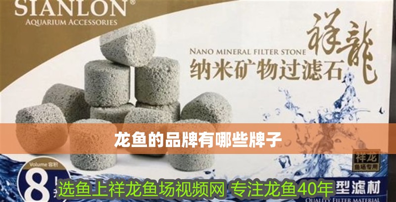 龍魚的品牌有哪些牌子 龍魚的品牌有哪些牌子 龍魚百科 第2張
