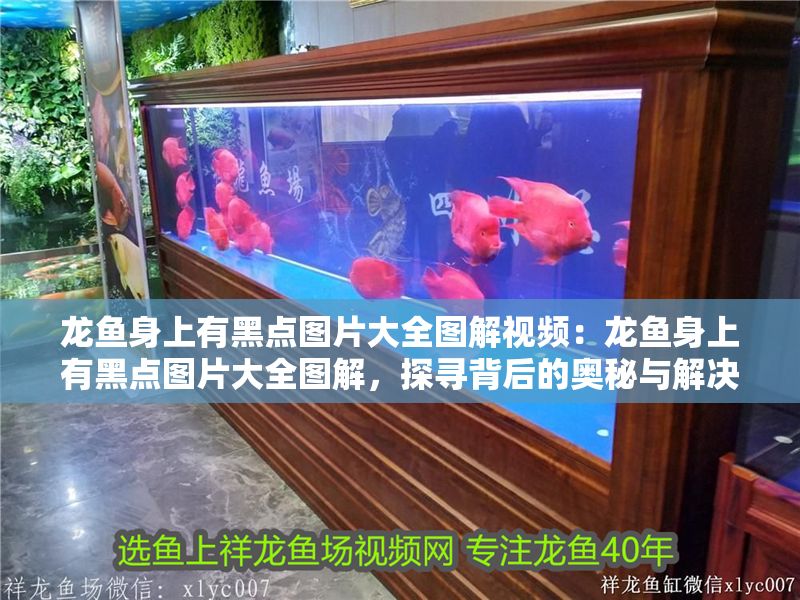 龍魚身上有黑點圖片大全圖解視頻：龍魚身上有黑點圖片大全圖解，探尋背后的奧秘與解決方案