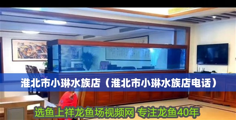 淮北市小琳水族店(淮北市小琳水族店電話) 全國水族館企業名錄 第1張 淮北市小琳水族店(淮北市小琳水族店電話) 淮北市小琳水族店(淮北市小琳水族店電話) 全國水族館企業名錄 第1張