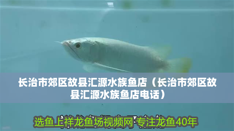 長(zhǎng)治市郊區(qū)故縣匯源水族魚(yú)店（長(zhǎng)治市郊區(qū)故縣匯源水族魚(yú)店電話）