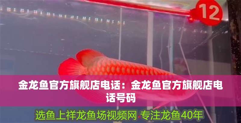 金龍魚官方旗艦店電話：金龍魚官方旗艦店電話號(hào)碼