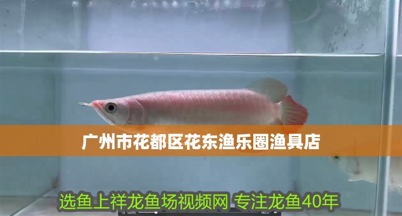 廣州市花都區(qū)花東漁樂圈漁具店 廣州市花都區(qū)花東漁樂圈漁具店 全國水族館企業(yè)名錄 第2張